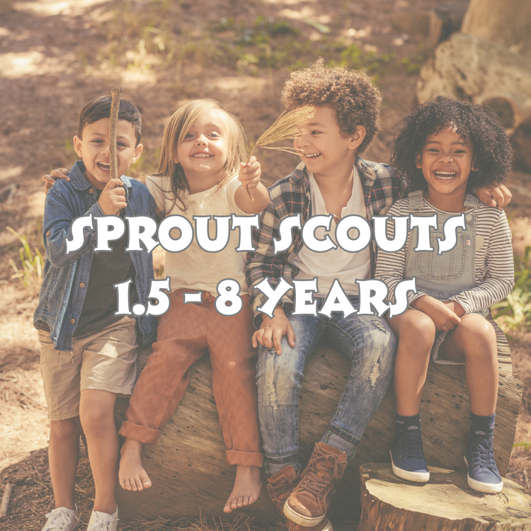 πΏ Sprout Scouts