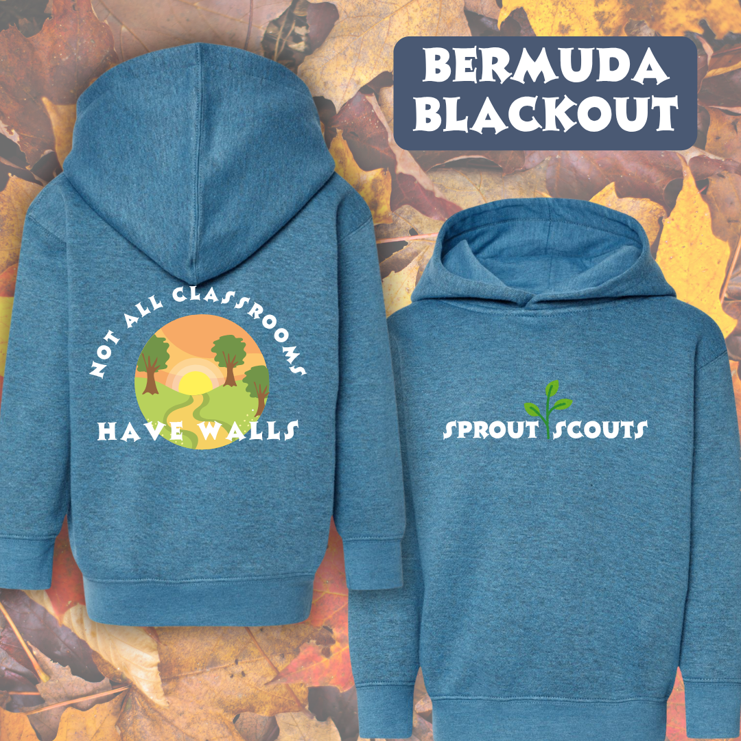 🍁Adventure Hoodie by Raising Primaries