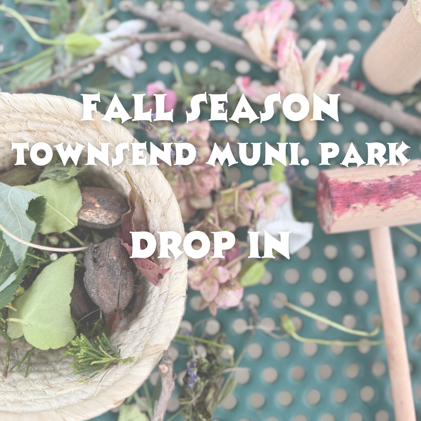 Fall Sprout Scouts Drop-In Class