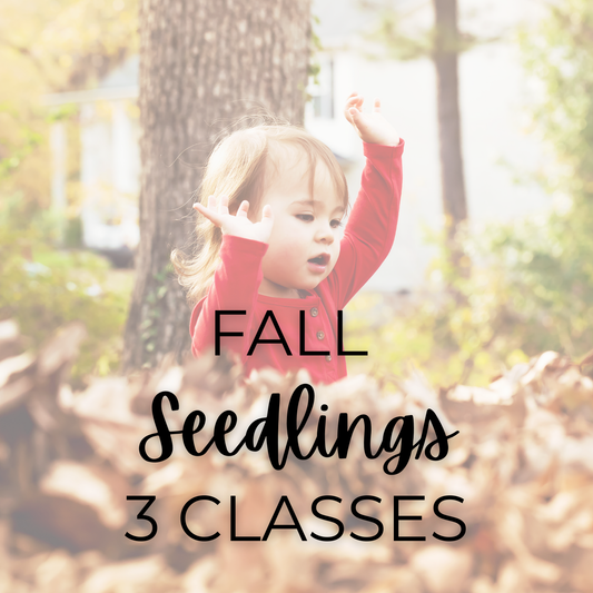 🍂 Fall 2025 Seedlings: 3-Week Outdoor Series