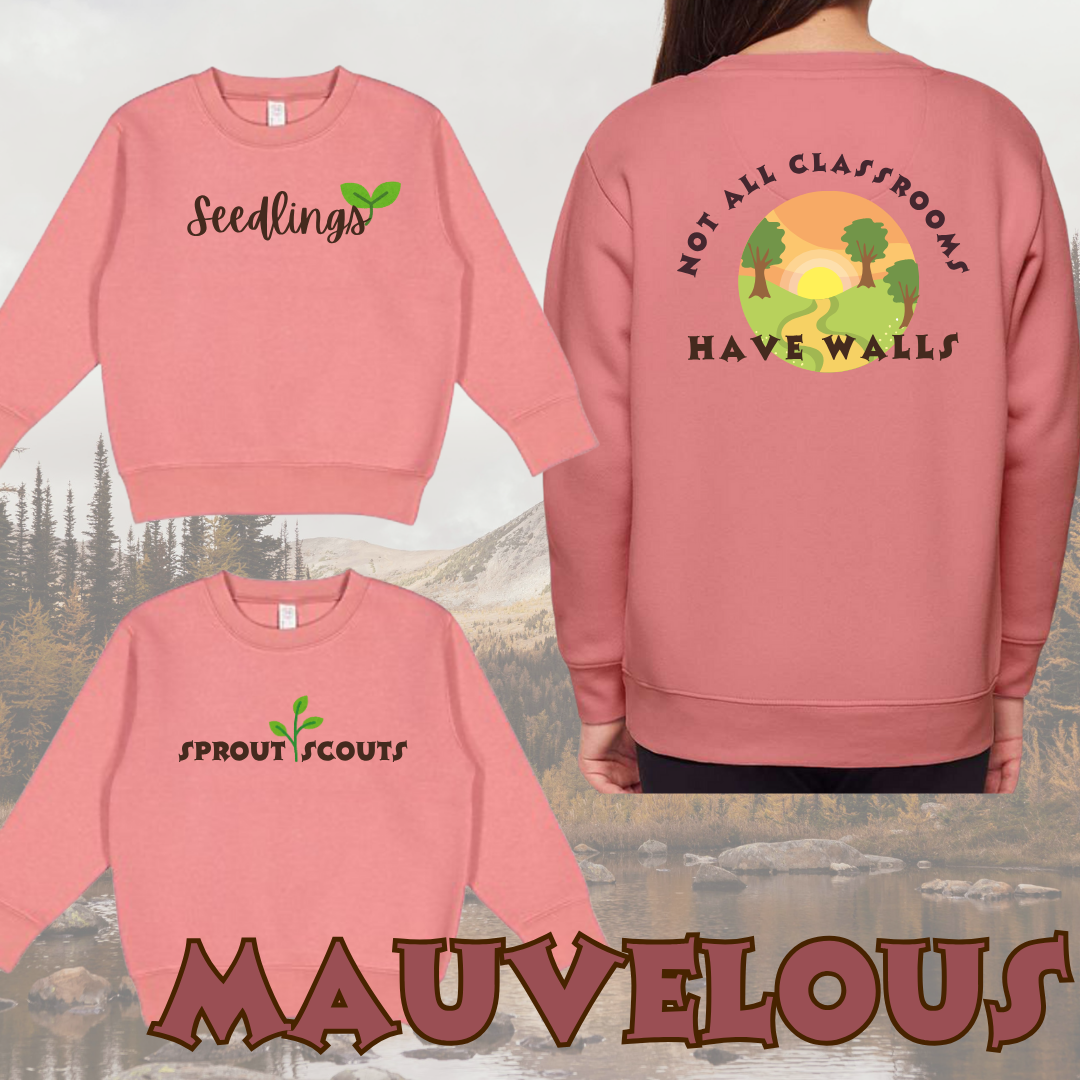 🌿 Everyday Explorer Class Crew