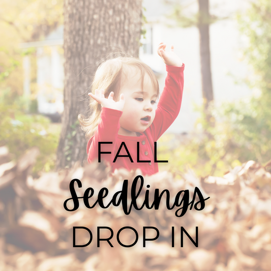 Fall Seedlings Drop-In Class